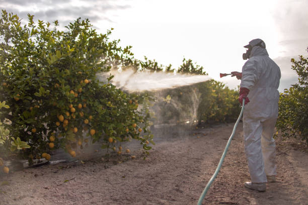 Best Commercial Pest Control Services  in West Glendive, MT