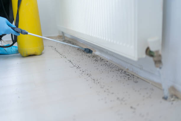 Best Cockroach Control Services  in West Glendive, MT