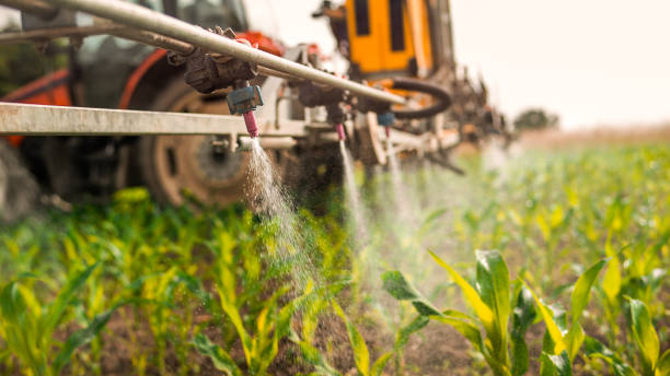Best Wildlife Control Services  in West Glendive, MT
